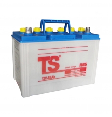 Ắc quy TS 30Ah N30
